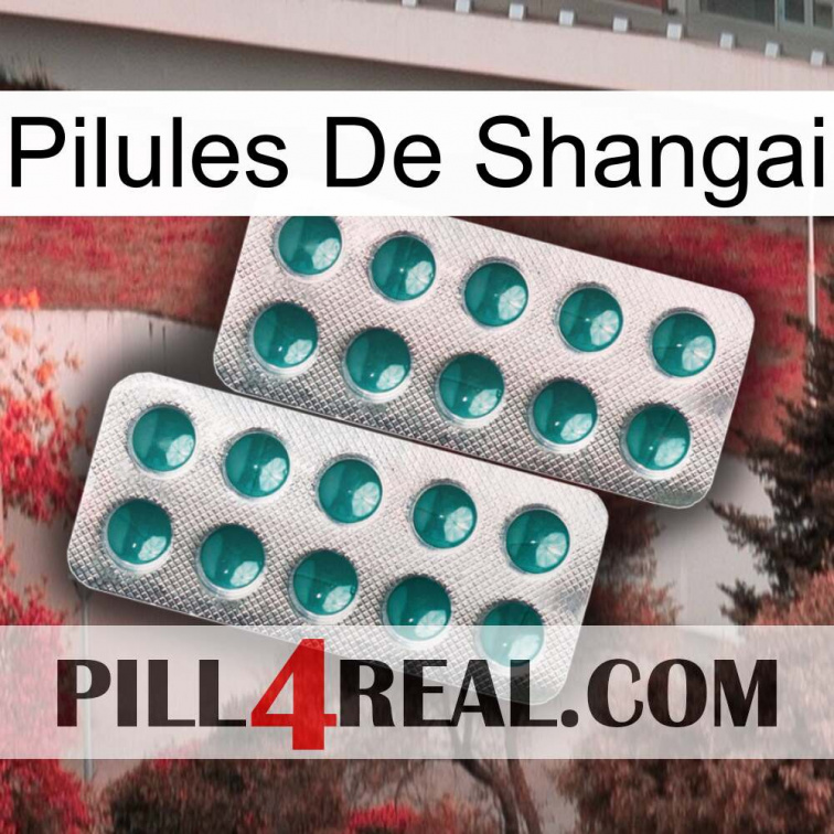 Shangai Pills dapoxetine2